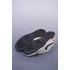 Nike SB Dunk Low stussy